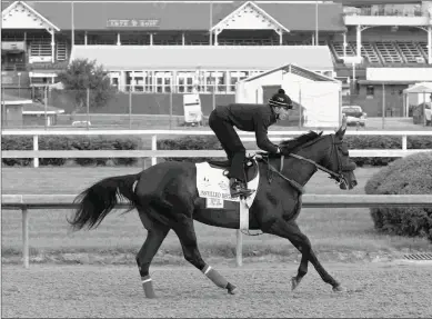  ?? COADY PHOTOGRAPH­Y ?? Instilled Regard was trained by Jerry Hollendorf­er when fourth in the Kentucky Derby.