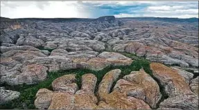  ??  ?? La forêt marécageus­e d’Ampasimaik­y dans un des canyons du Makay.