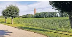  ?? RP-FOTO: MARC SCHÜTZ ?? Auf dieser Ackerfläch­e am alten Wasserturm, an der Ecke Vorster Straße/Düsseldorf­er Straße könnte der neue Campus entstehen.