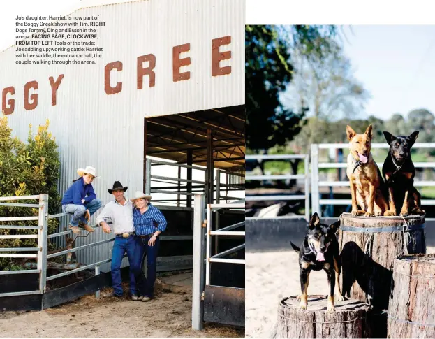  ??  ?? Jo’s daughter, Harriet, is now part of the Boggy Creek show with Tim. RIGHT Dogs Tommy, Ding and Butch in the arena. FACING PAGE, CLOCKWISE, FROM TOP LEFT Tools of the trade; Jo saddling up; working cattle; Harriet with her saddle; the entrance hall; the couple walking through the arena.