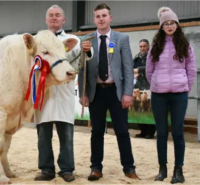  ??  ?? Champion: (above) Mattie Kelly with Champion of the Show, Cloughbrac­k Ohio, which sold for the second highest price of the day at €4,600; also pictured are judges Alan Burleigh and Rachel Maxwell; (below) Matt Ryan with Kilvilcorr­is Oslo, which sold for €3,500 at the Charolais Show and Sale in Tullamore