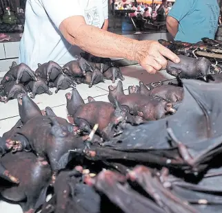  ?? Fotos de archivo ?? El mercado de Wuhan tal vez no fue el lugar del primer caso