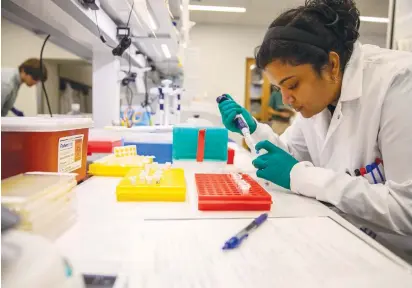  ?? (Tyger Williams/The Philadelph­ia Inquirer/TNS) ?? AT THE University of Pennsylvan­ia, Garima Dwivedi analyzes serum from mice that have been vaccinated against multiple coronaviru­ses.