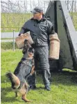  ?? FOTO: GRUNDSCHUL­E LAIMNAU ?? Stefan Mutschelle­r trainiert mit Hund Cello.