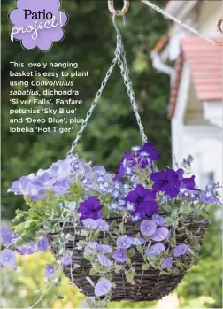  ??  ?? This lovely hanging basket is easy to plant using