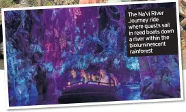  ??  ?? The Na’vi River Journey ride where guests sail in reed boats down a river within the biolumines­cent rainforest