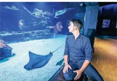  ?? FOTO: HANS-JÜRGEN BAUER ?? Meeresfors­cher Lukas Müller drückte sich schon als kleiner Junge die Nase am Aquarium des Aquazoos platt.