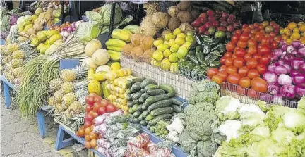  ?? ?? The continued decline of a number of traditiona­l crops locally, have seen stakeholde­rs across the agricultur­al sector calling for improved policies geared towards rebuilding.