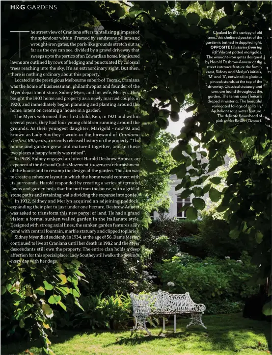  ??  ?? Cloaked by the canopy of old trees, this sheltered pocket of the garden is bathed in dappled light.
OPPOSITE Clockwise from top left Vibrant potted marigolds. The wrought-iron gates designed by Harold Desbrow-Annear at the street entrance feature the family crest, Sidney and Merlyn’s initials, ‘M’ and ‘S’, entwined; a glorious pin oak stands at the top of the driveway. Classical statuary and urns are found throughout the garden. The tennis court fence is draped in wisteria. The beautiful variegated foliage of calla lily. An Italianesq­ue water feature. The delicate flowerhead of pink spider flower ( Cleome).