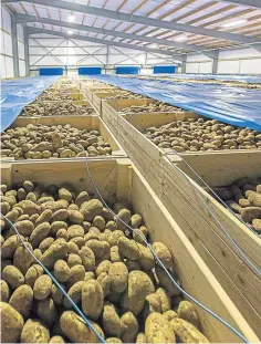  ??  ?? TRADE HOPES: The UK Government is seeking to have the EU ban on British seed potato exports lifted.