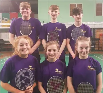  ??  ?? The Wexford Under-17 badminton team, Leinster runners-up after a fine performanc­e in Baldoyle.