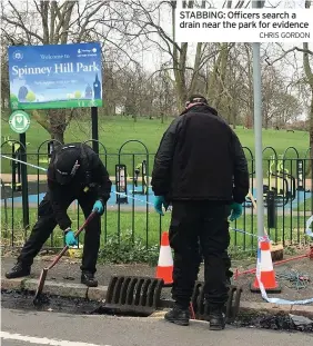  ?? CHRIS GORDON ?? STABBING: Officers search a drain near the park for evidence