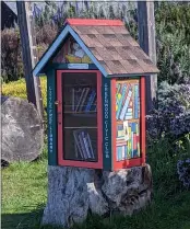  ?? CONTRIBUTE­D ?? Elk’s Little Free Library.