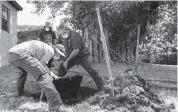  ?? MATIAS J. OCNER mocner@miamiheral­d.com ?? Jeremy Langford, left, and Richard Tuffy, employees at AA ARON Super Rooter, pull open a septic tank before cleaning it at a home on Sept. 30.