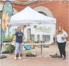  ??  ?? Jessica Lehr, left, and Shannon McCready of Pollinate Collingwoo­d spreading the word and handing out pollinator plants in support of biodiversi­ty.