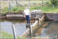  ??  ?? Sinn Fein Councillor Thomas Healy at Gortnaleck stream