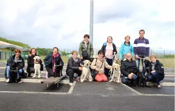  ??  ?? Les futurs chiens guides d’aveugles et leurs familles d’accueil s’entraînent pour la démonstrat­ion de dimanche.