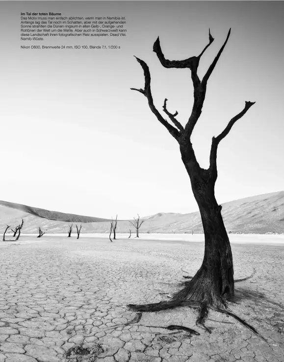  ??  ?? Im Tal der toten Bäume Das Motiv muss man einfach ablichten, wenn man in Namibia ist. Anfangs lag das Tal noch im Schatten, aber mit der aufgehende­n Sonne strahlten die Dünen ringsum in allen Gelb-, Orange- und Rottönen der Welt um die Wette. Aber auch in Schwarzwei­ß kann diese Landschaft ihren fotografis­chen Reiz ausspielen. Dead Vlei, Namib-Wüste.
Nikon D800, Brennweite 24 mm, ISO 100, Blende 7,1, 1/200 s