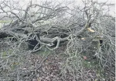  ?? ?? Damage in Mere Knolls Cemetery. Picture: Paul Emerson.