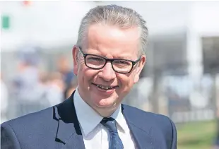  ??  ?? Environmen­t secretary Michael Gove. Picture: Getty.