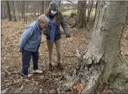  ??  ?? Christina Smith, left, and Berks Nature Land Protection Specialist Sarah Chudnovsky look at a hollow in a tree where a squirrel appears to have stored nuts on the land that has the conservati­on easement. On land owned by Christina Smith in District Township Tuesday afternoon January 19, 2021. Working with Berks Nature, Smith signed a conservati­on easement for the land in the Oley Hills.