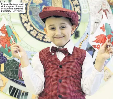  ?? JOY POWELL ?? Reagan Mackey, a pupil at Springwood Primary School in his St David’s Day finery