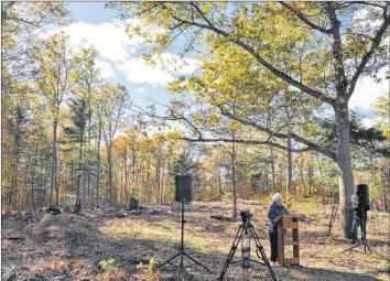  ?? SARA ERICSSON ?? The hospice will be located on this treed lot, with each of its rooms facing the forest view.