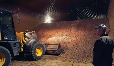  ?? Associated Press ?? ABOVE: Potato farmer Brian Sackett watches as potatoes are moved from a storage bin at his farm in Mecosta,
Mich. For generation­s, Sackett’s family has farmed potatoes that are made into chips. About 25% of the nation’s potato chips get their start in Michigan, which historical­ly has had reliably cool air during September harvest and late spring but now is getting warmer temperatur­es.