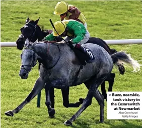  ?? Alan Crowhurst/ Getty Images ?? > Buzz, nearside,
took victory in the Cesarewitc­h
at Newmarket