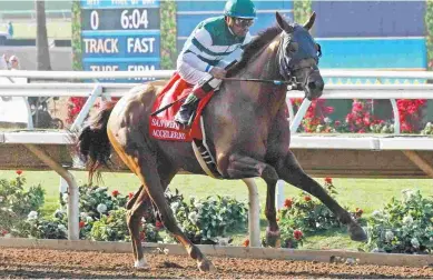  ?? EMILY SHIELDS ?? Accelerate is 2 for 2 in one-mile races at Del Mar and also won the San Diego Handicap in July.