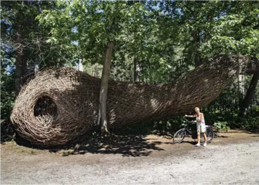  ??  ?? in Hechtel-Eksel is een van de werken die Will Beckers maakte voor de natuurkern Bosland in Limburg.