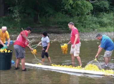  ?? CHAD FELTON — THE NEWS-HERALD ?? Grand Riv-Har Duck Race organizers and volunteers collect the number-imprinted entries on Sept. 8 at Big Creek in Concord Township’s Helen Hazen Wyman Park. The fundraisin­g event, sponsored by the Riverside and Harvey Alumni Associatio­ns, is in its 17th year and has raised over $90,000 in past years.