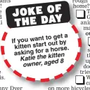  ??  ?? to get a If you want out by kitten start a horse. asking for