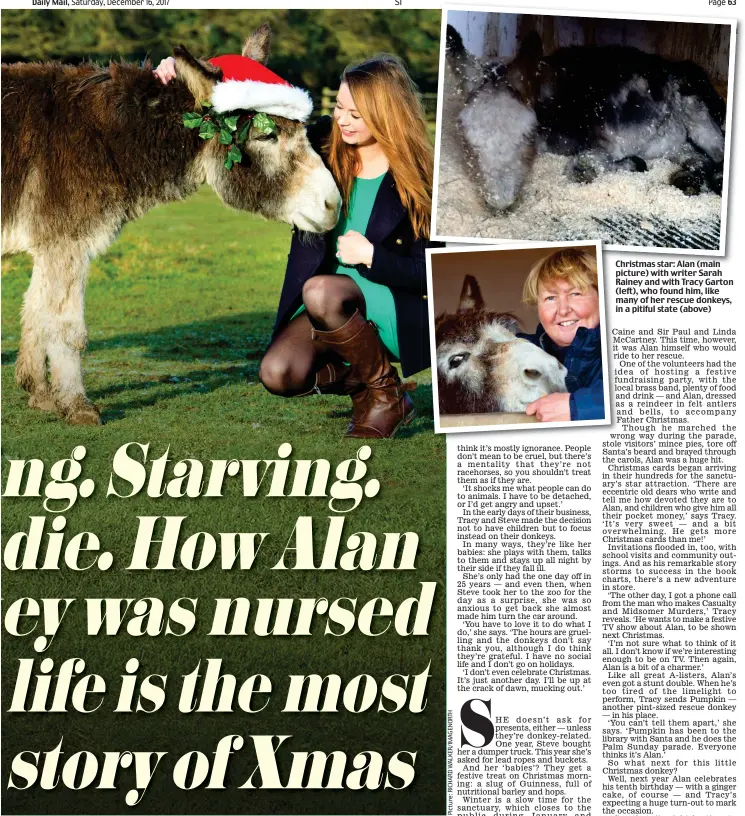  ??  ?? Christmas star: Alan (main picture) with writer Sarah Rainey and with Tracy Garton (left), who found him, like many of her rescue donkeys, in a pitiful state (above)