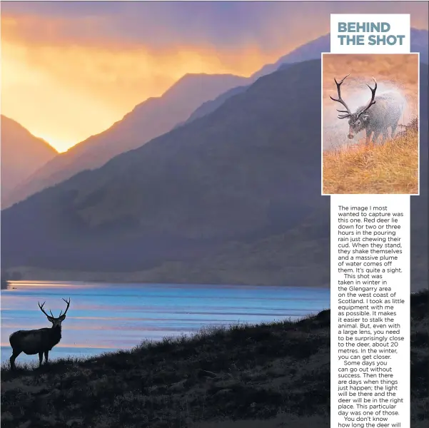  ??  ?? deer silhouette­d against a loch; and here, he explains the story behind one of his favourites, above right