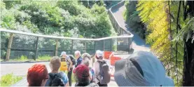  ?? Photo / Supplied ?? Taupō Monday Walkers prepare to head off on their walk through Sanctuary Mountain, Maungataut­ari.