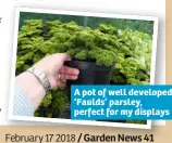  ??  ?? A pot of well developed ‘Faulds’ parsley, perfect for my displays