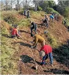  ?? SUPPLIED ?? Volunteers from the Kukutaruhe Education Trust clearing weeds in the Fairfield gully system.