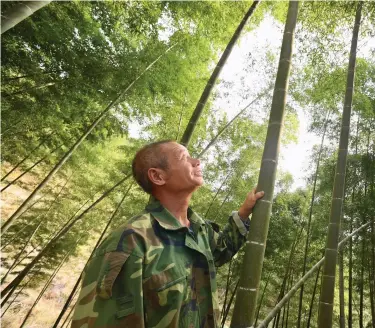  ??  ?? 三明市立足于生态优势，因地制宜保护和利用山­水资源，在守好“绿水青山无价宝”的同时，积极促进“绿水青山”向“金山银山”转化。