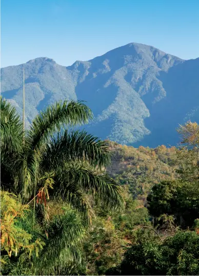  ??  ?? Con 1 974 m.s.n.m., el Pico Real del Turquino es la mayor elevación de Cuba.