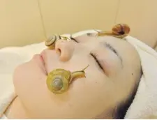  ?? YOSHIKAZU TSUNOYOSHI­KAZU TSUONO/ AFP/GETTY IMAGES ?? The slime snails secrete is key to the facial, as it reportedly contains a beauty-boosting cocktail of proteins, antioxidan­ts and hyaluronic acid.