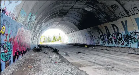  ?? SUBMITTED ?? A back road in rural Pictou County is littered with graffiti and garbage that includes beer cans, pill packs and personal items. Police say it’s a popular spot for people who might have been car surfing and looking over their loot.