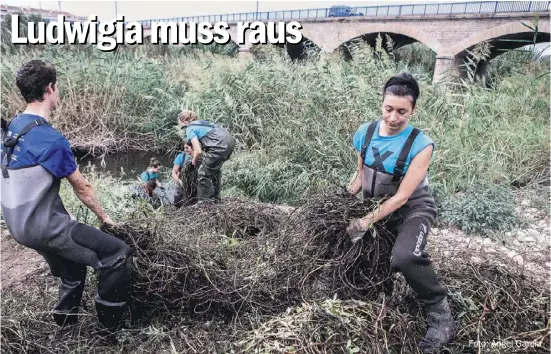  ?? Foto: Ángel García ??