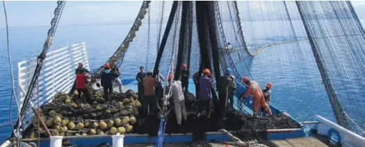  ??  ?? In for the long haul ... fishermen at work for RD Tuna.