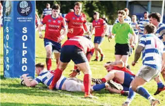  ?? PICTURE: Mike Inkley ?? Try time: Tynedale captain James Telford scores against Sheffield