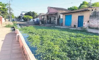  ??  ?? Un “pantanal” se formó en la calle Alfredo Ramos. Vecinos no pueden circular por el lugar. Las víboras son un peligro.