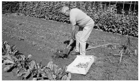  ??  ?? Le projet des jardins familiaux consiste à aménager un espace où des Saint-germanois pourront louer et cultiver une parcelle individuel­le (photo d’archives).