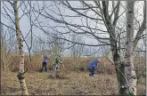  ?? ?? Conservati­on volunteers clearing woodland to make way for new planting on Gigha.