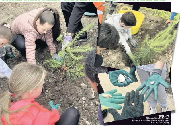  ??  ?? NEW LIFE Children from St Teresa’s Primary School in Possilpark plant trees in an old clay quarry