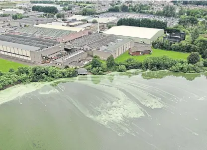  ??  ?? Aerial photograph of the blue-green algae build-up at Loch Leven.
